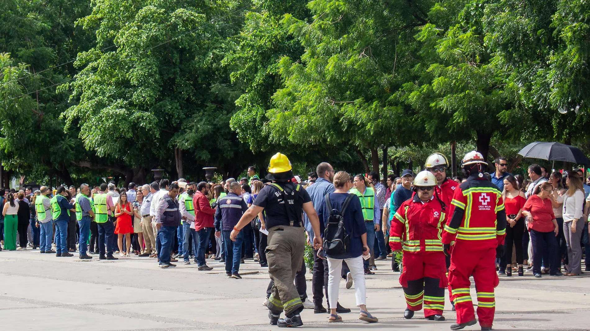 Simulacro sismo cruz roja bomberos 